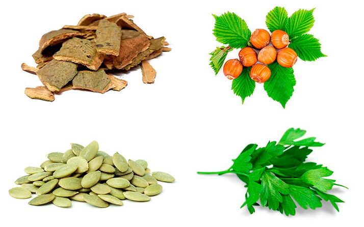 Remedios populares para prostatite casca de álamo, sementes de cabaza, perexil e abelás